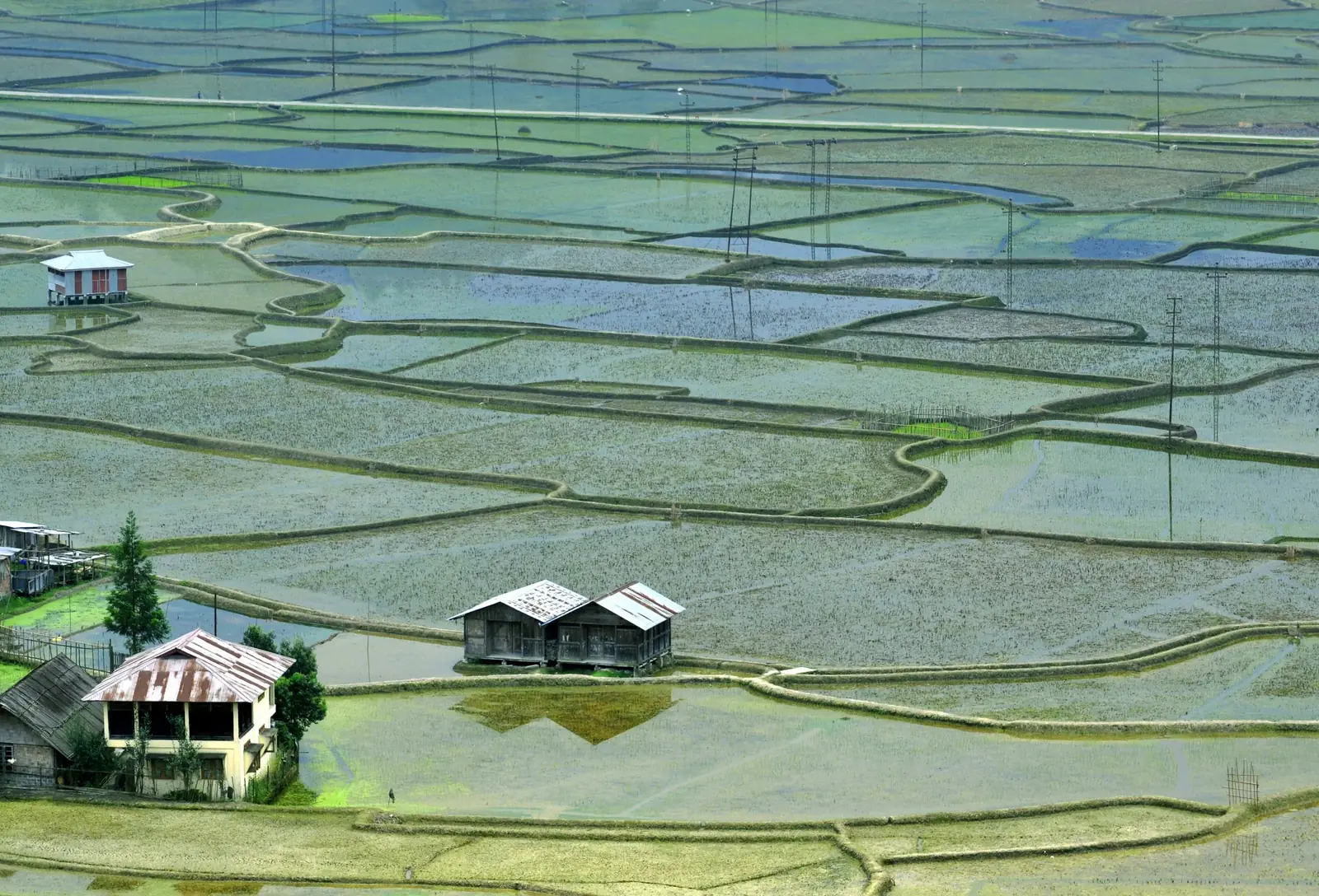 Flooded terraced rice paddies of the Apatani people in the Ziro Valley, Arunachal Pradesh, with a few wooden huts among the fields.